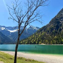 Plansee