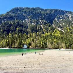 Plansee