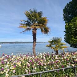 Insel Mainau