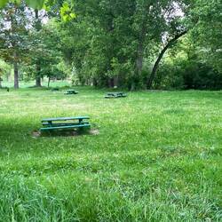 Wild picnic tables