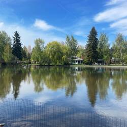 It's called Mirrorpond for a reason
