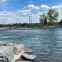 Surf wave on The Deschutes
