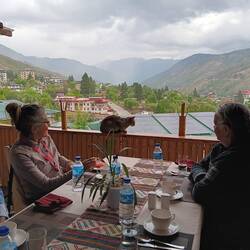 Cat decorating our view of the valley at lunch