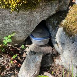 Got the smiley! (Found the geocache.)