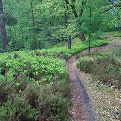 Schöne Wege