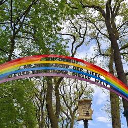 Rainbow👍