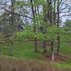 Ein Rundumblick in die Heide