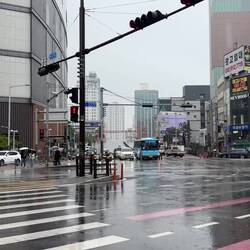 13 Grad und Regen: Ein grusiger Sonntag in Busan.