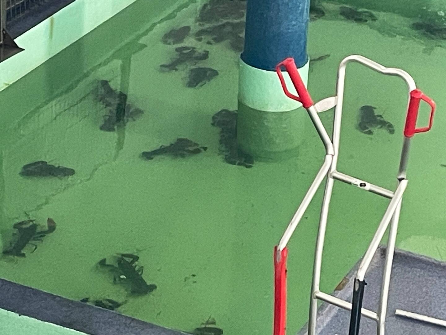 Ein Besuch in der Fischauktionshalle