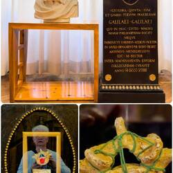 Galileo's vertebra bone ... donated to the university — Palazzo del Bo.
