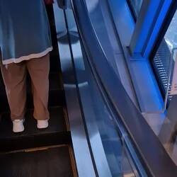 Die Rolltreppe zum Glück hoch hinaus