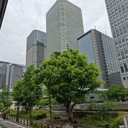 Nochmal die Twin Tower Osaka
