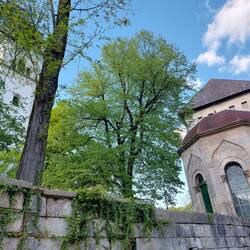 Die Kirche des Hl. Antonius von Padua. Zerstört von Alliierten 1944. Gleich daneben ein kleine Mosch