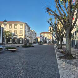 Morgens in Ponta Delgada