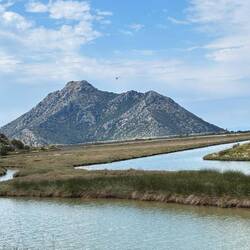 National Park of Messolonghi