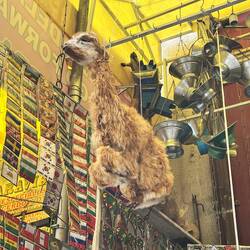 Llama fetus used in offerings to patchamama (Mother Earth)