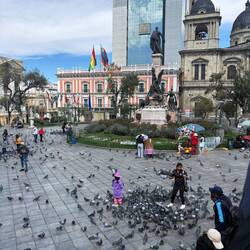 Pigeons flocking in the square alongside the president's mansions and congressional halls