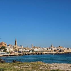 Looking back at Monopoli