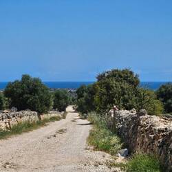 Coming back to the sea