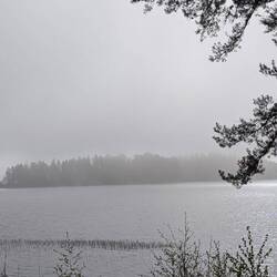 Am zweiten Morgen lag Nebel überm See