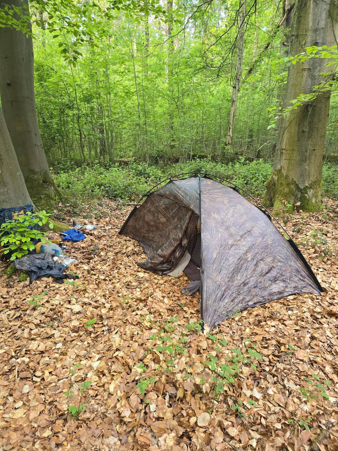 Mein letztes Nachtlager bei den Mücken