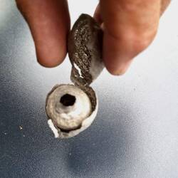 Unter der äußeren Hülle befindet sich das eigentliche Nest
