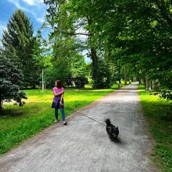 Park an der Alb