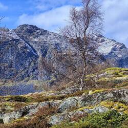 Nachmittags ist der Schnee weg