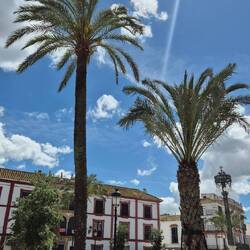 Plaza de San Fernando