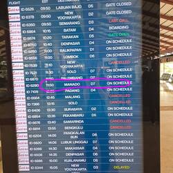 Zum Glück - wir fliegen ✈️ Andere werden gecancelt 😳