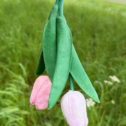 Tulpen nur im Cache gefunden...