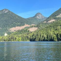 Logging scar on mountain side