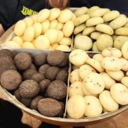 Cookies anyone?