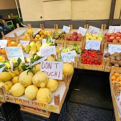 No lack of fresh fruits and vegetables