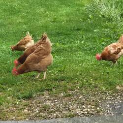 Even the neighbors are quiet.