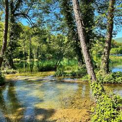 Mystische Wasserlandschaft