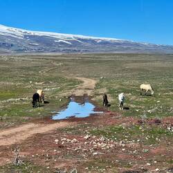 Steppenlandschaft um Kars herum