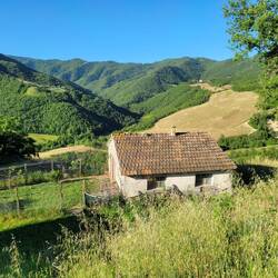 Pagno