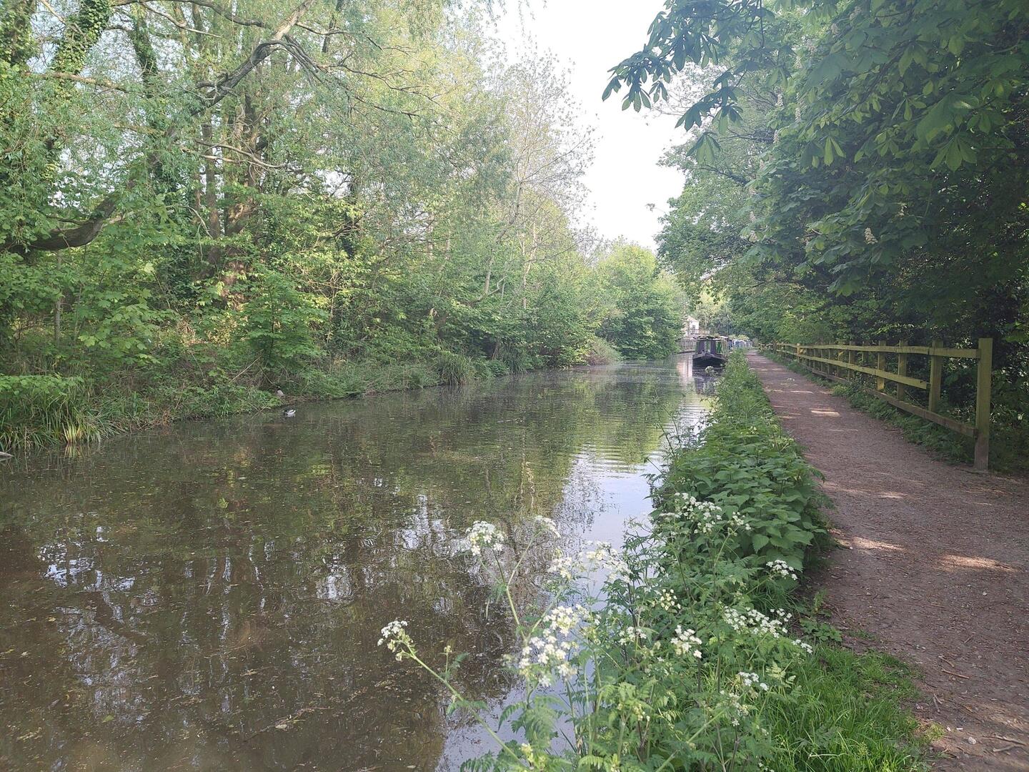 Our mooring. The Horse Chestnut candles are beginning to flower