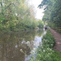 Our mooring. The Horse Chestnut candles are beginning to flower