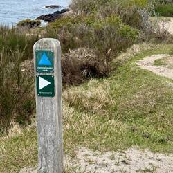 und endlich der Abzweiger zum Leuchtturm