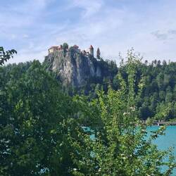 Blejski grad = Burg Bled