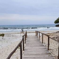 Strand Nr 5