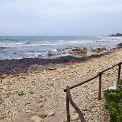 Vor allem am Strand 3 Unmengen an Seegras
