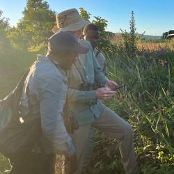 Patrick, Grant and Macdonald arguing over the name of a flycatcher