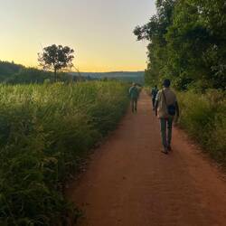 Walking home