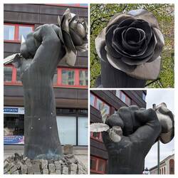 Die Rote Rose: Symbol des feministischen Kampfes