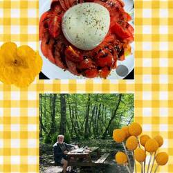 Büffelmozarella frisch vom Morgen