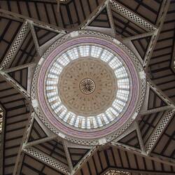 Roof the central market
