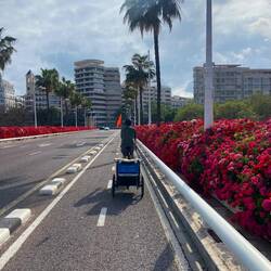 Puente de las Flores